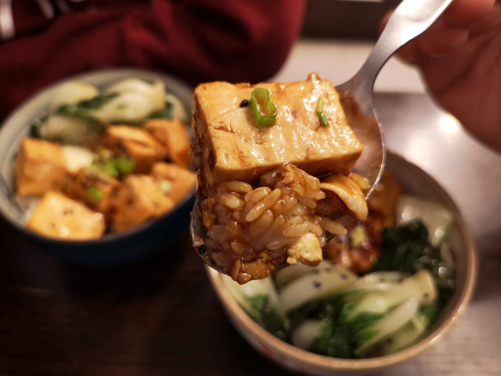 braised tofu closeup